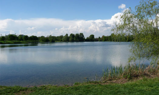 Parco della Cava Poggio Berni RN